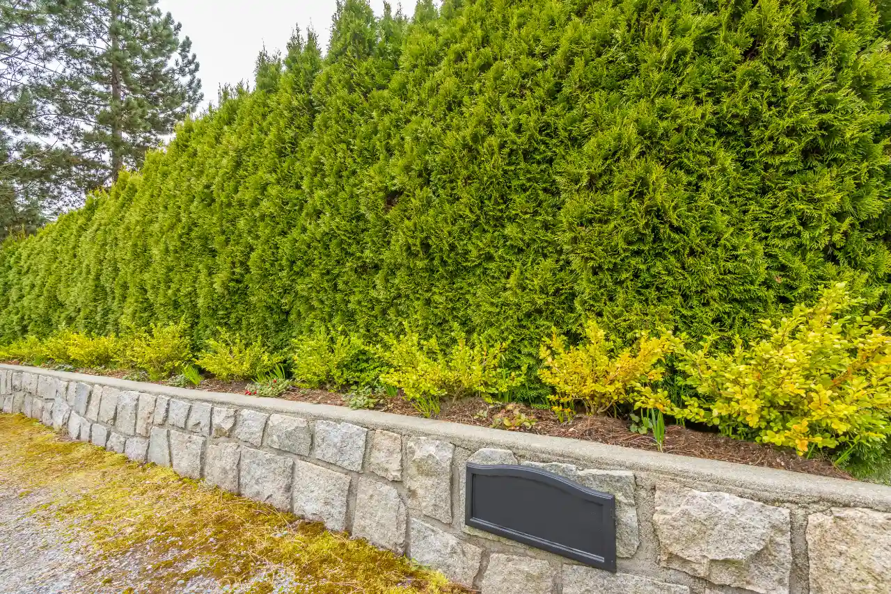 Tall retaining wall that required a permit in New York